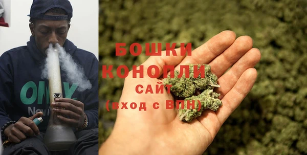 прущие грибы Вязники