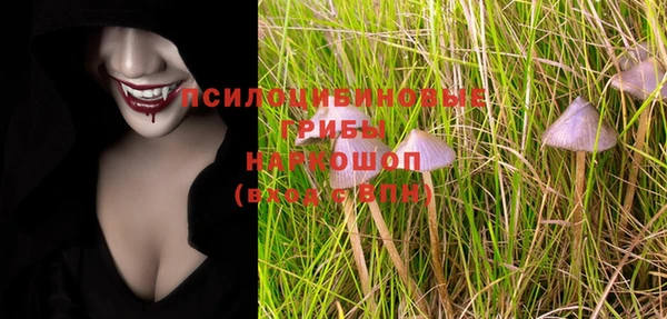 mdpv Вяземский