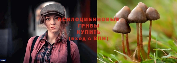 mix Вязьма