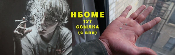 прущие грибы Вязники