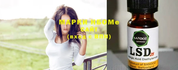 прущие грибы Вязники