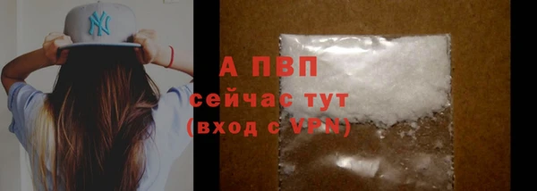 прущие грибы Вязники