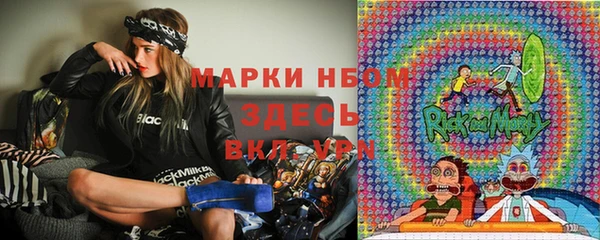 прущие грибы Вязники
