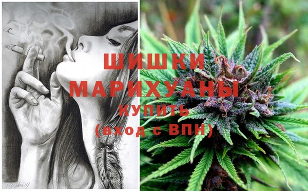 прущие грибы Вязники