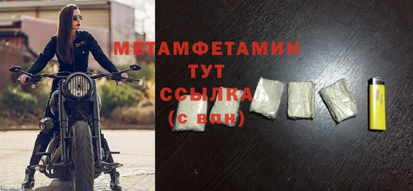 прущие грибы Вязники