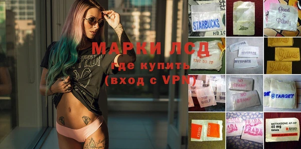 прущие грибы Вязники