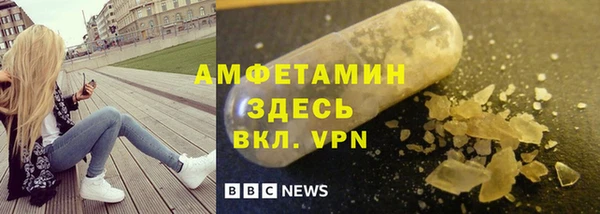 прущие грибы Вязники