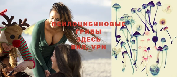 mdpv Вяземский